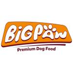 Big Paw Profile Picture