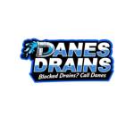 Danes Drains Profile Picture