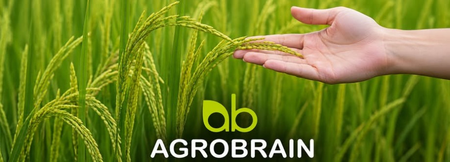 Agro Brain Cover Image