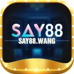 say88wang say88wang Profile Picture