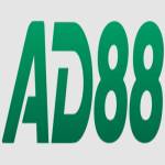 AD88 profile picture