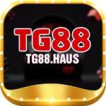 tg88 haus Profile Picture